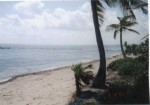 Lot in Xcalak for sale.jpg